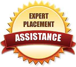 We provide placement assistance with all our Web Courses in Surat